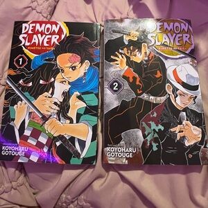 demon slayer volumes 1 and 2